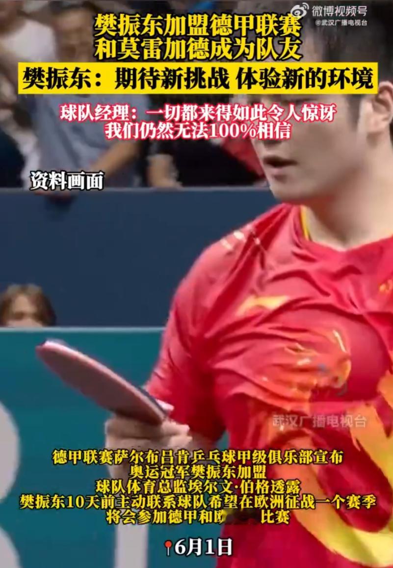樊振东加盟德甲联赛 一个竞技水平本来正盛、现役选手里稳居top3甚至就是一哥的人