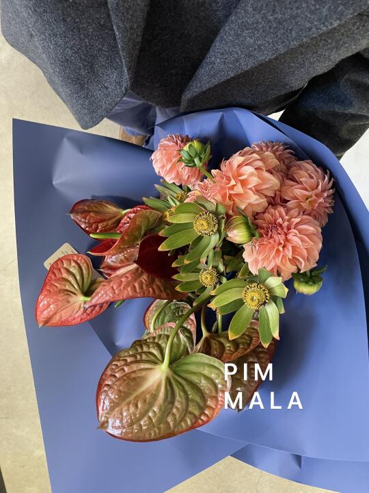 PIMMALA｜左滑挑个喜欢的