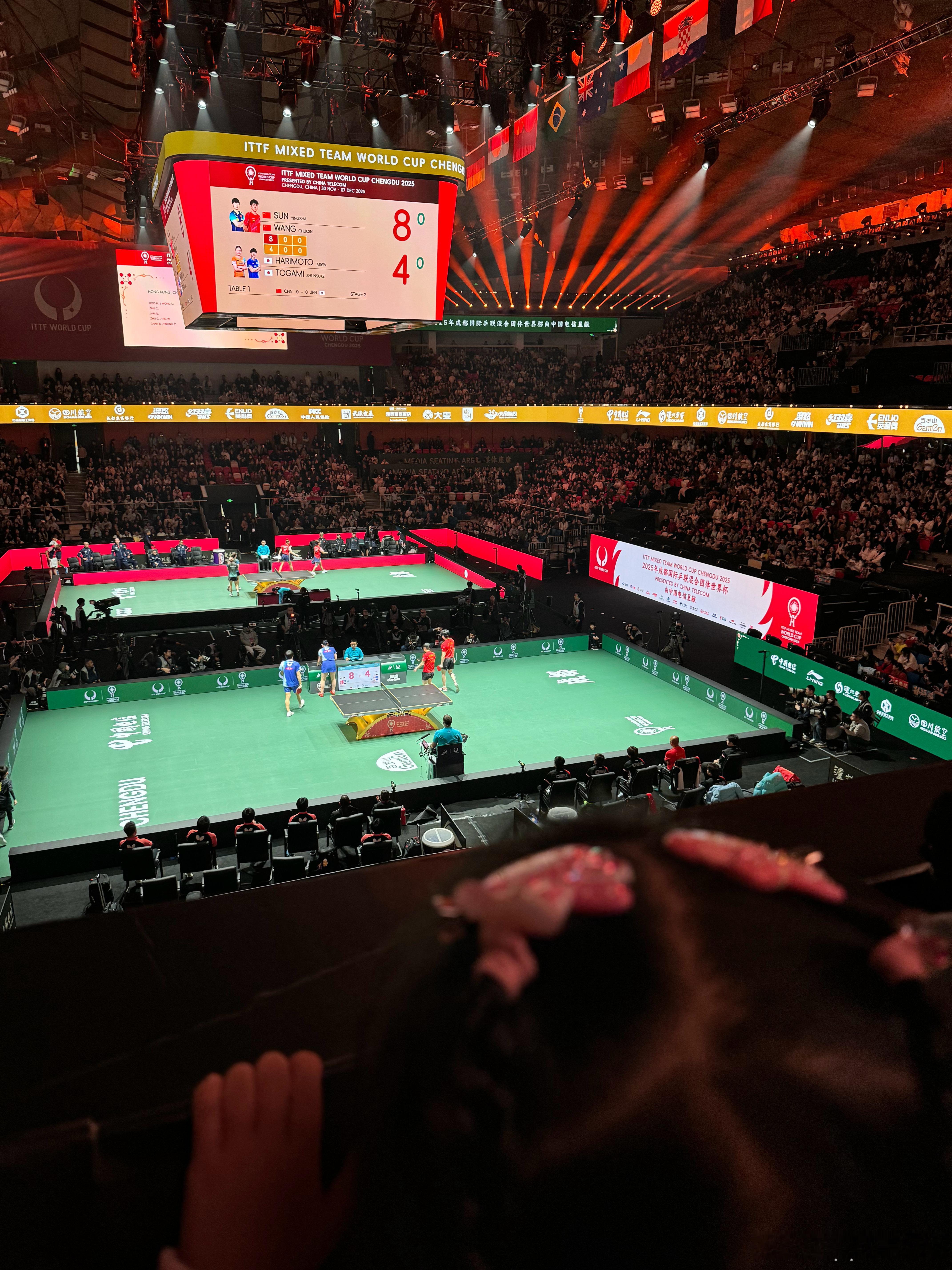 中国打日本。  咋个张本智和还不上呢？看了两天都没上。 成都·四川省体育馆