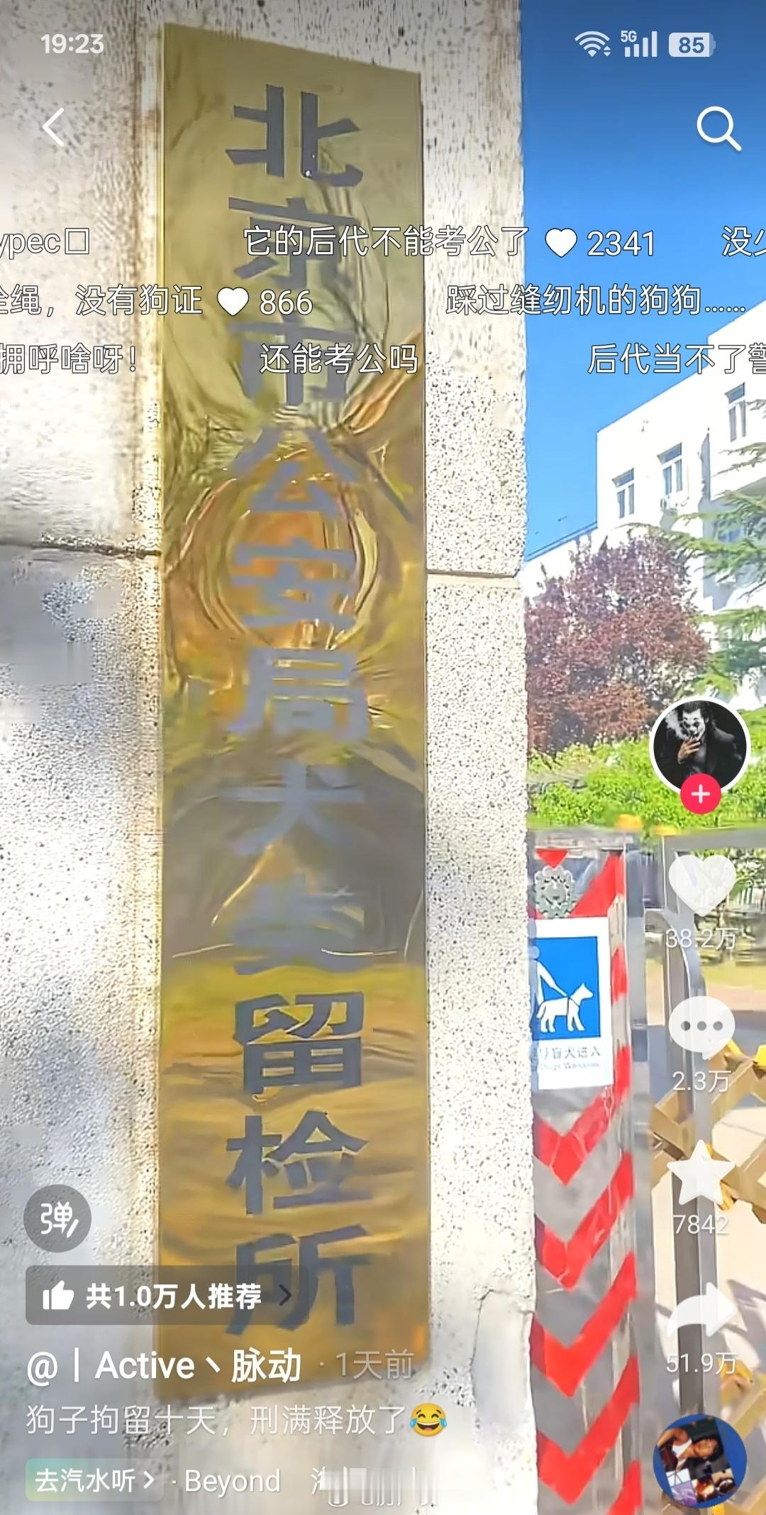 大城市就是不一样，还有犬类拘留所