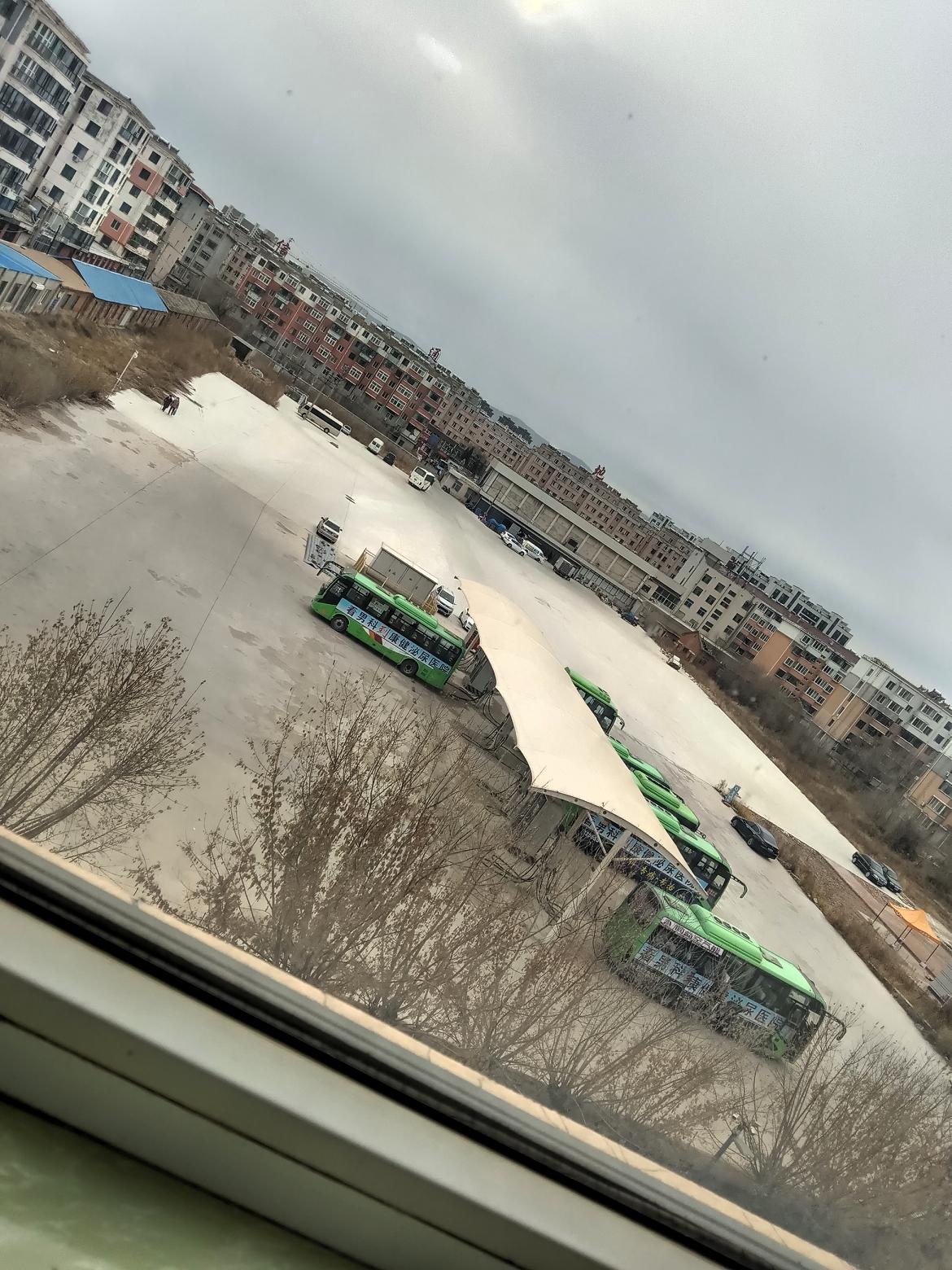 城市一隅，绿意盎然的公交车停靠在宁静的街角。