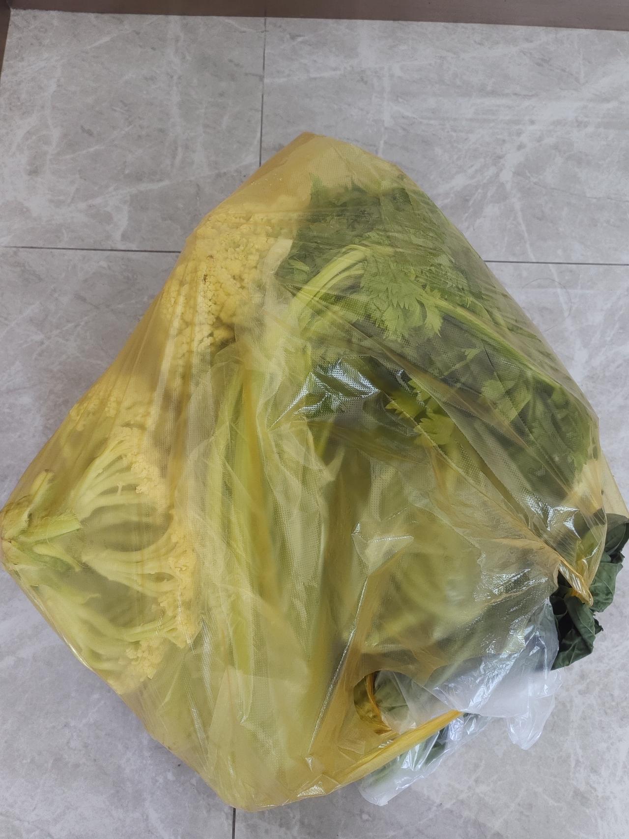 送饭回来路上，都快下午两点了。去早市看看。
     摊主正在收摊。路过看看，收