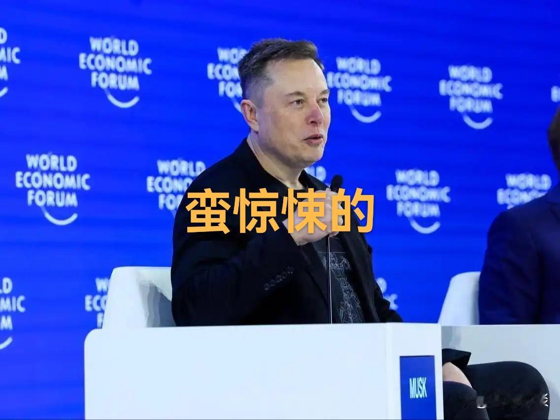 马斯克的又一惊悚言论。
继“人类生活在真实世界的概率不足十亿分之一”的惊悚言论发