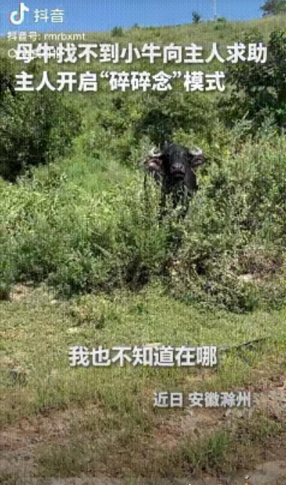 李永乐从小就是那种别人家口中的天才少年。
​​他凭借着极高的天赋和努力，顺利考入