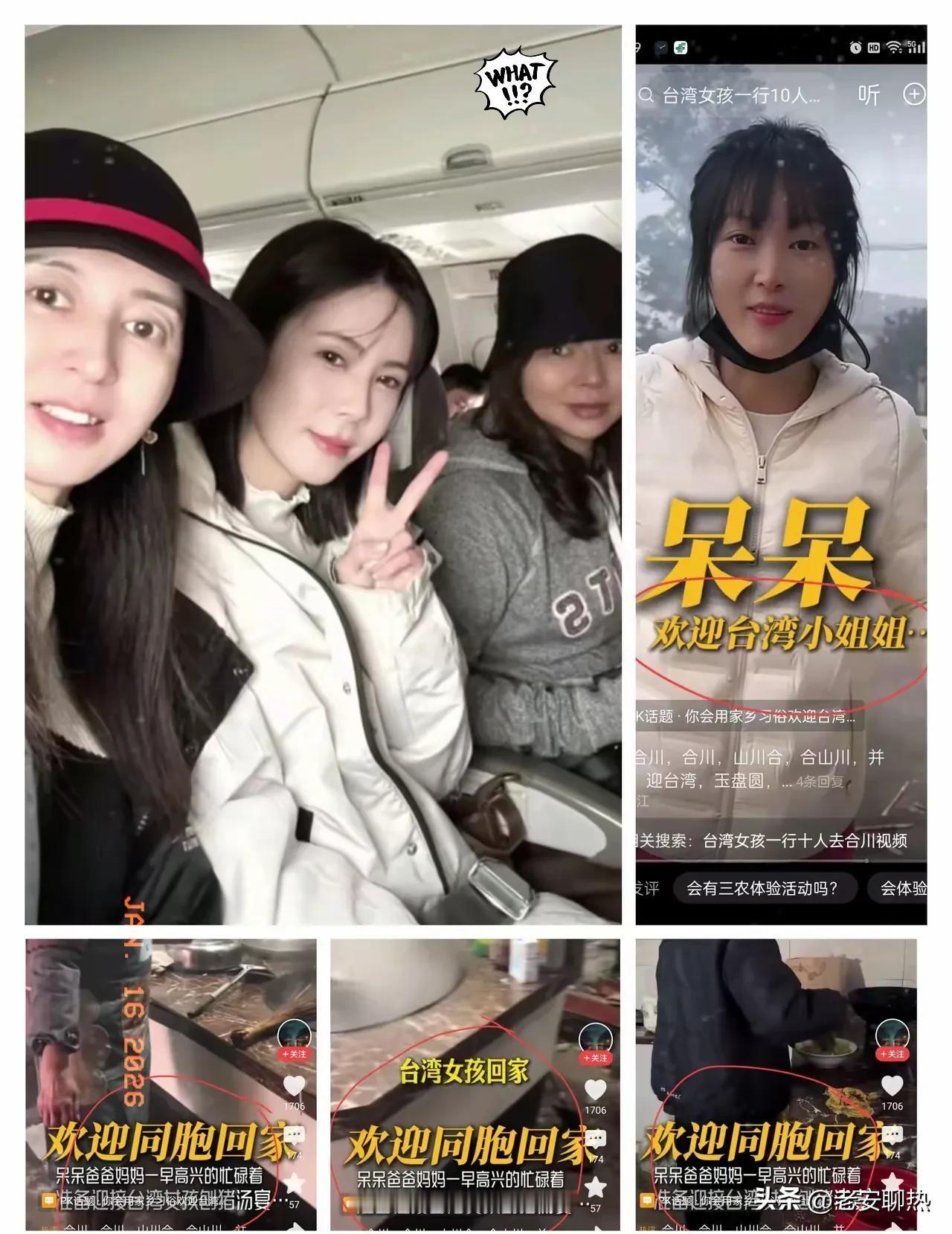 我有预感
呆呆有可能要上春晚了
不是因为她长得漂亮，也不是她粉丝多，而是因为
她