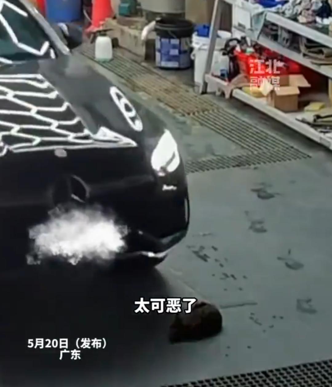 开着大奔，像个有钱人，可你那车轱辘，为什么故意轧向无辜的猫妈妈？
前不久，广东一