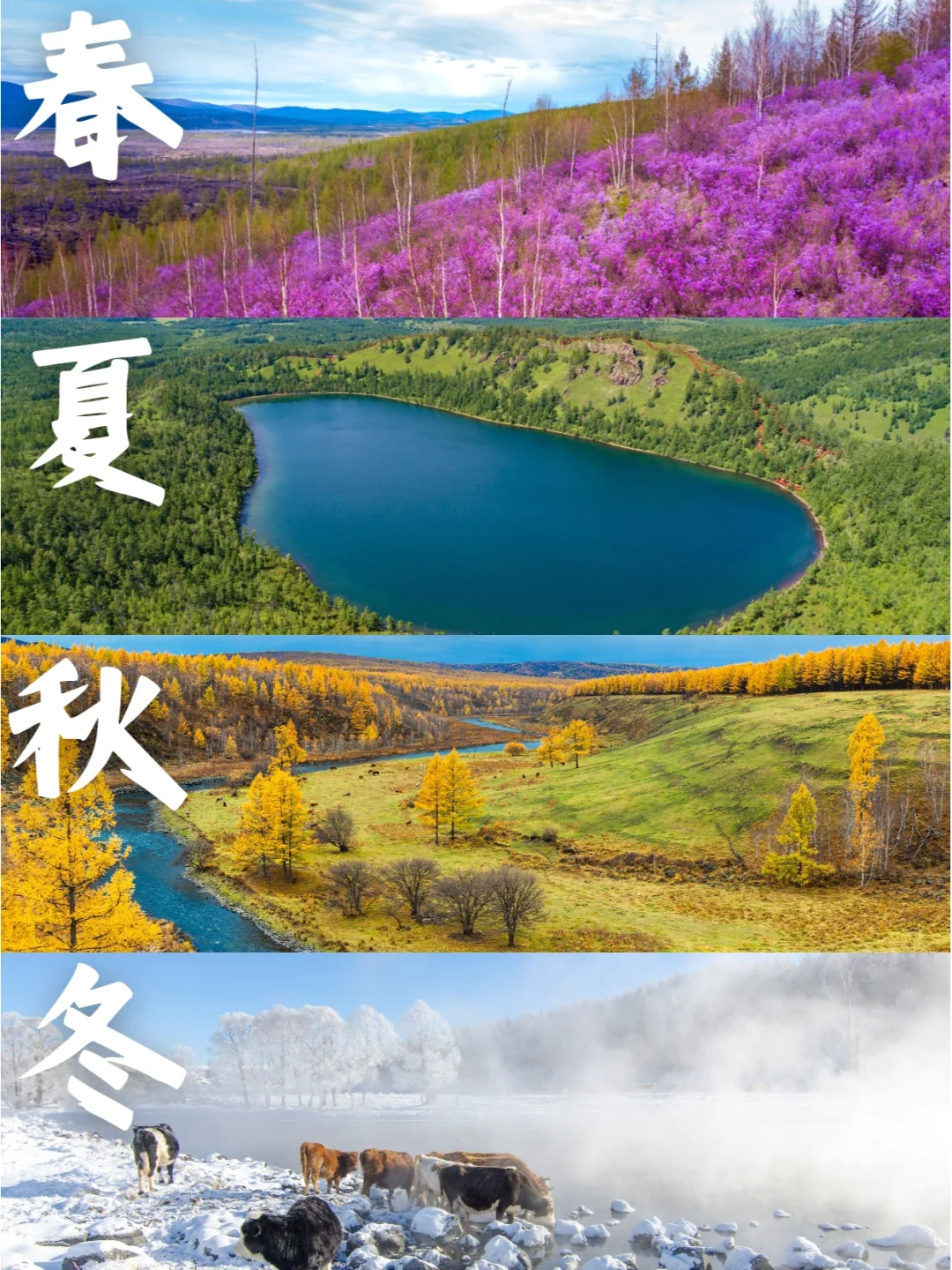 🌔阿尔山四季风光|感受大自然的魅力✨