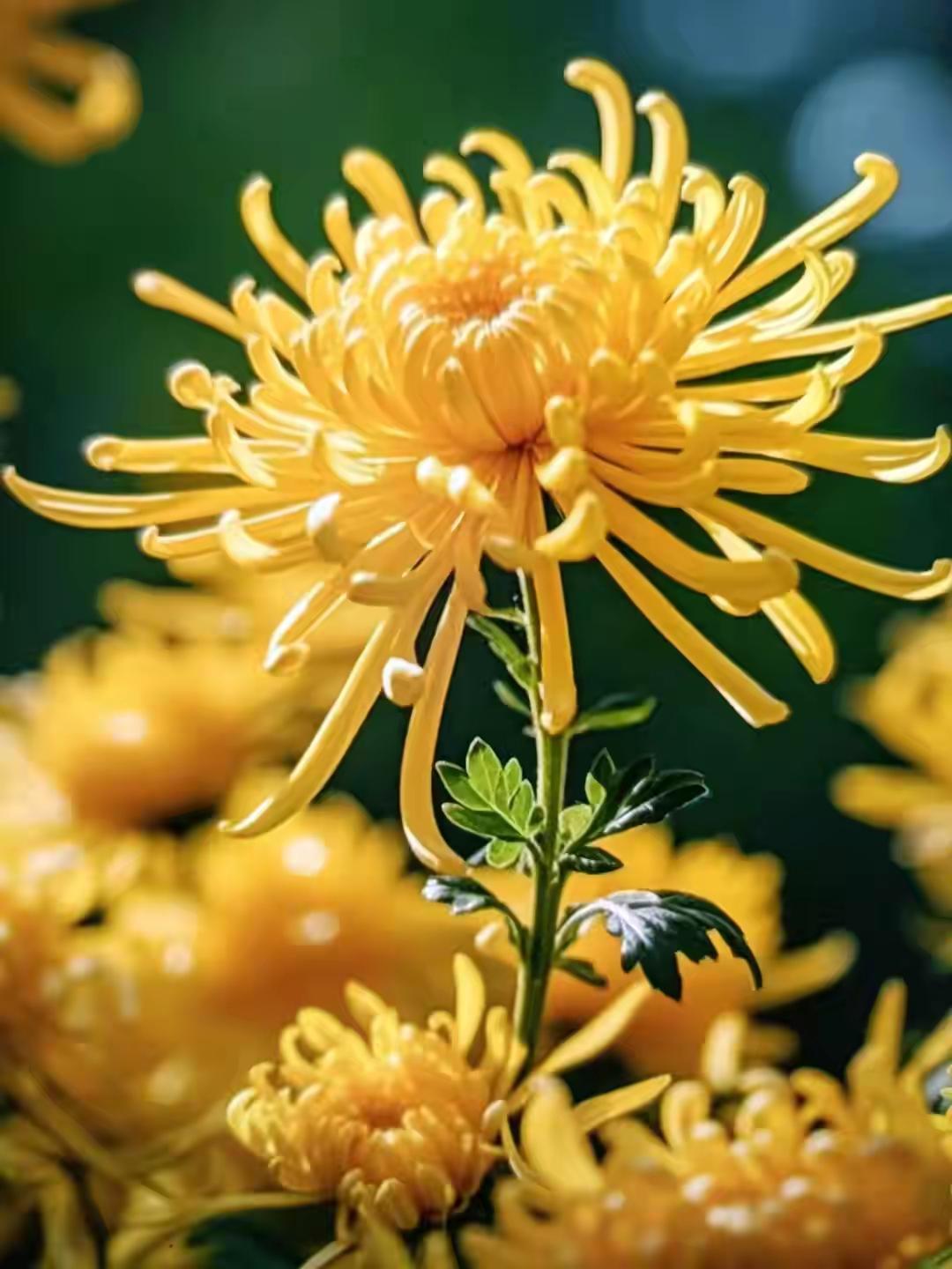 《利益时代最扎心真相：你给的筹码，永远买不到真心》

1. 你以为是等价交换，其