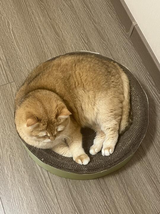 大卡车的日常