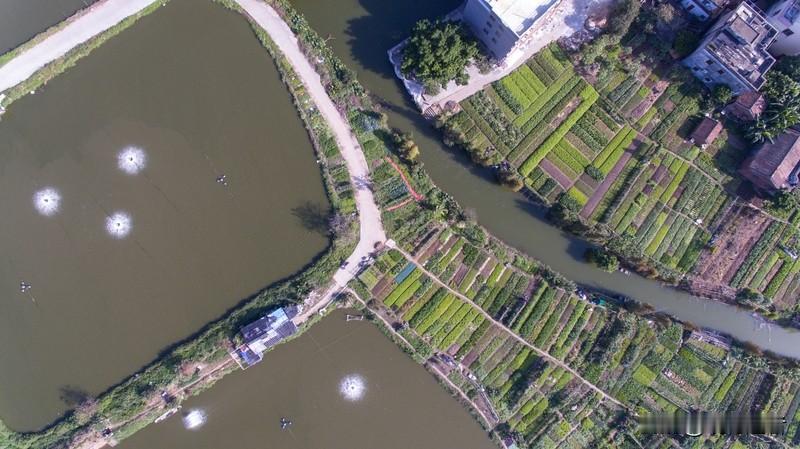 岭南水乡明珠逢简，以其独特的江南韵味被誉为广东周庄。古榕垂荫的河岸旁，青砖黛瓦的