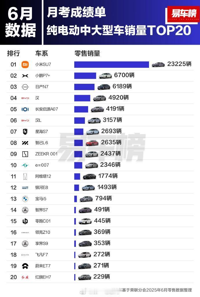 6月纯电中大型车型销量前三名，前两名被新势力小米SU7小鹏p7+ 占据而第三名是