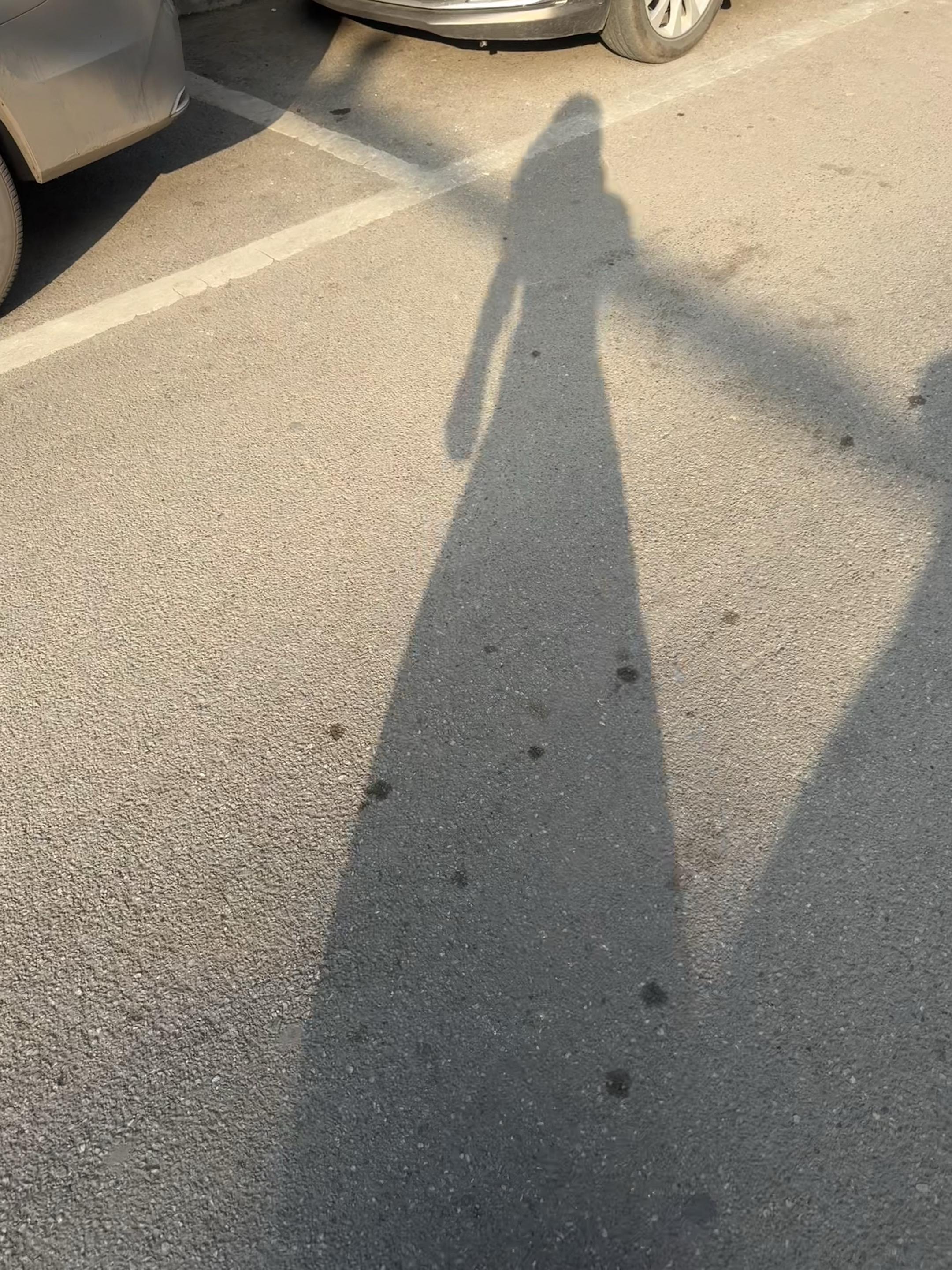 亲爱地 告诉你 我有许多小淘气