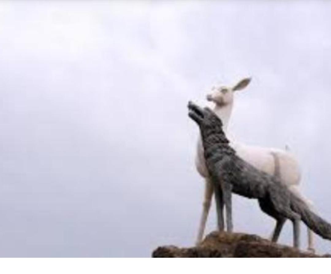 大家好，今天给大家讲一个关于蒙古民族起源的神秘故事——苍狼与白鹿的传说。这不仅是