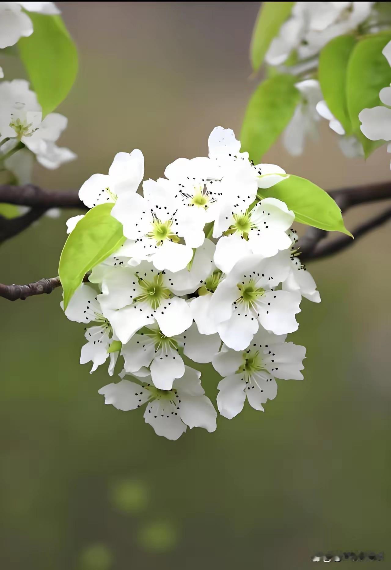 坚决批判并拉黑十种人
1.以走资修正之名公然质疑否定改革开放
2.以个人信仰之名