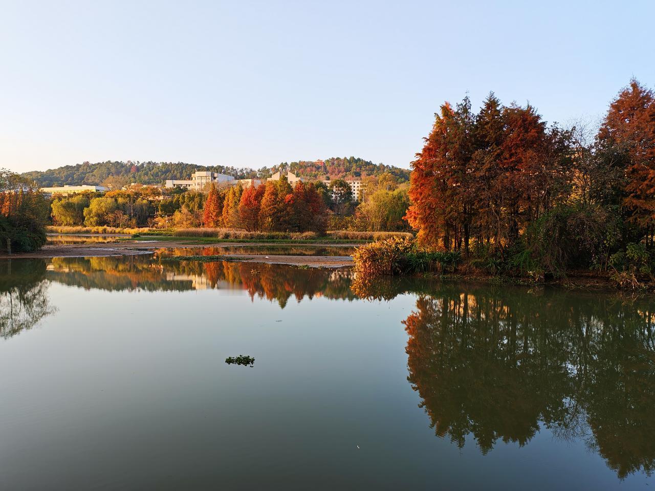 分享一下你随手拍下的照片