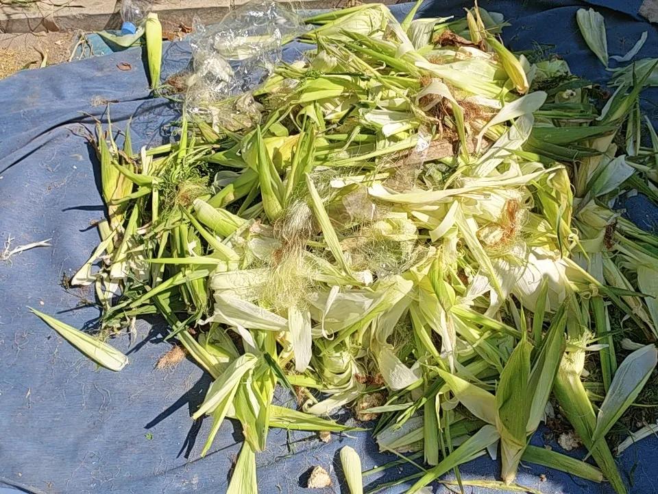 从南京到北京，买家没有卖家精。这话说的一点不假。

今天早晨我去赶早市，去的有点