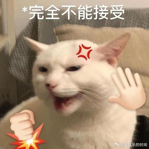 原来处女膜一直都在被误解不是处 女就不是呗，怎么还为自己找借 口，反正我相信老 