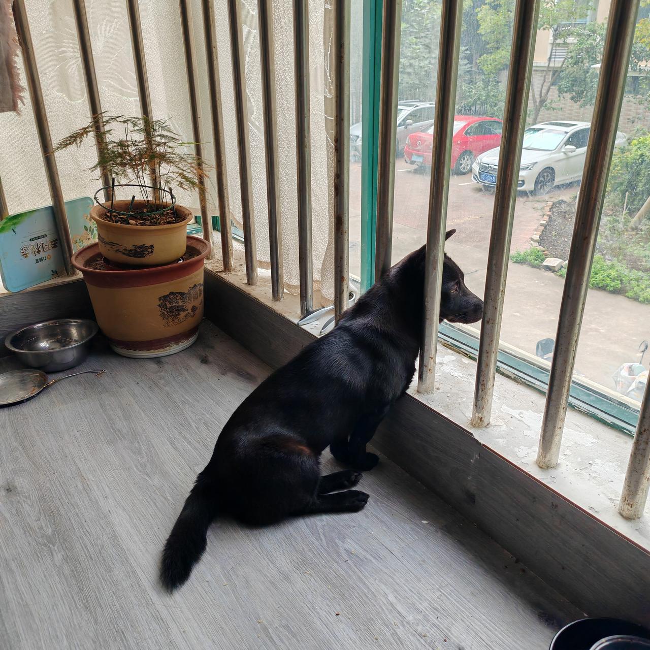 近两年《晋城往事》火了，火在大众喜爱。
《晋城往事》原为二胡与琵琶重奏曲‌，现在