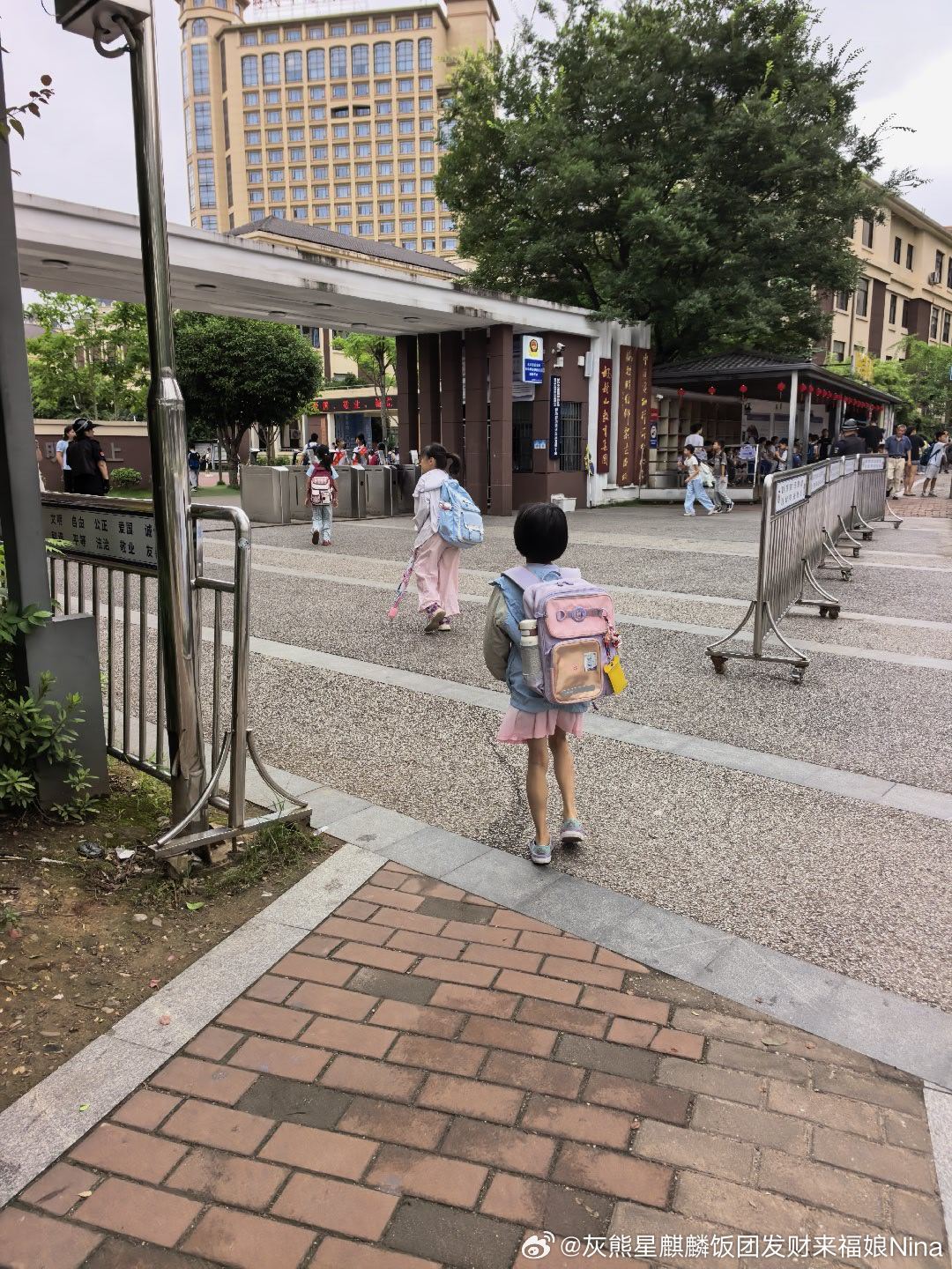 今天天气蛮舒服 出门忘记给团子喷防蚊药了妮娜一家饭团团日常