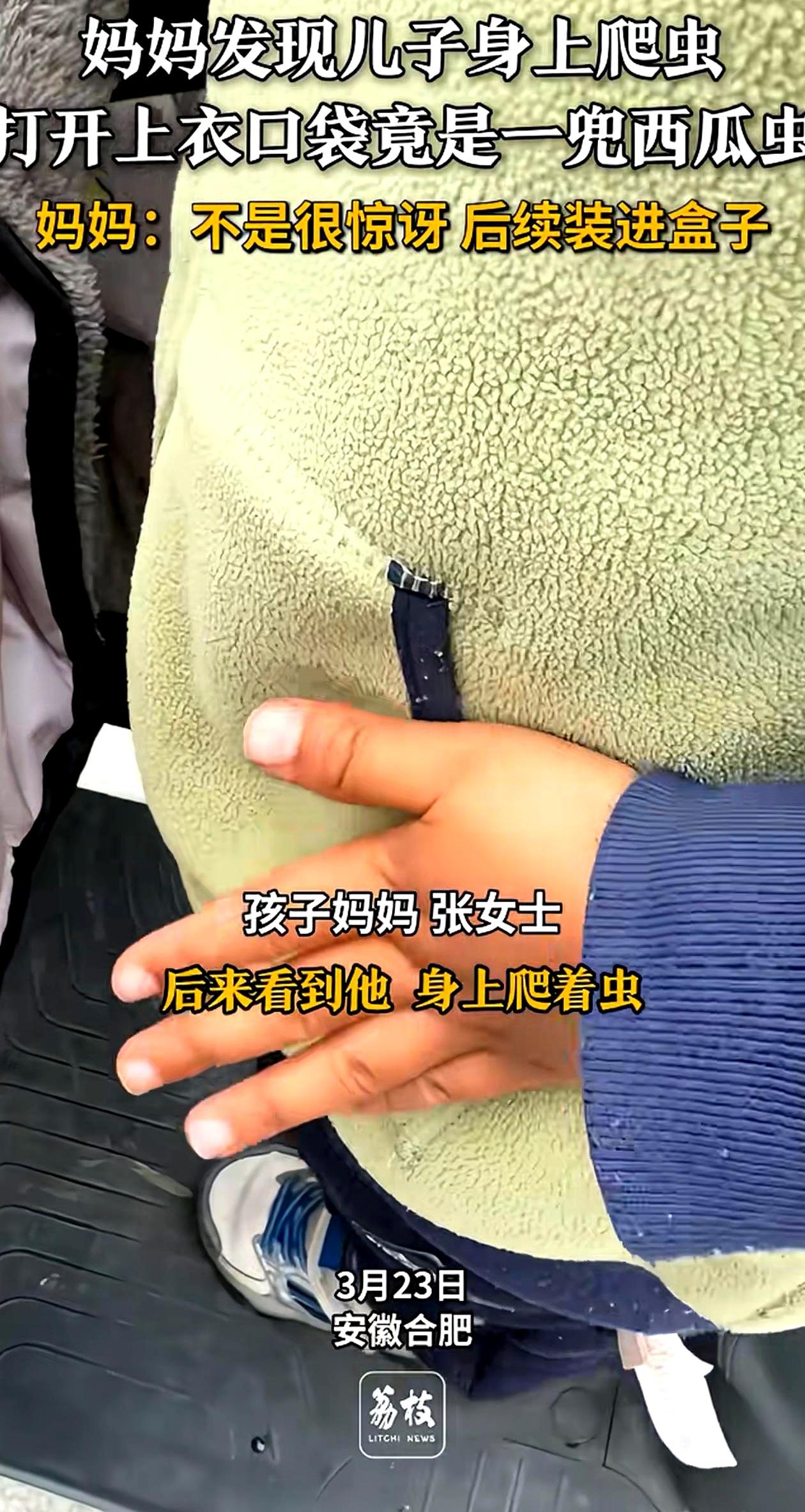 你家娃的口袋是不是也像个百宝箱？
安徽一位宝妈就遭遇了惊魂一幕！
她发现儿子外套