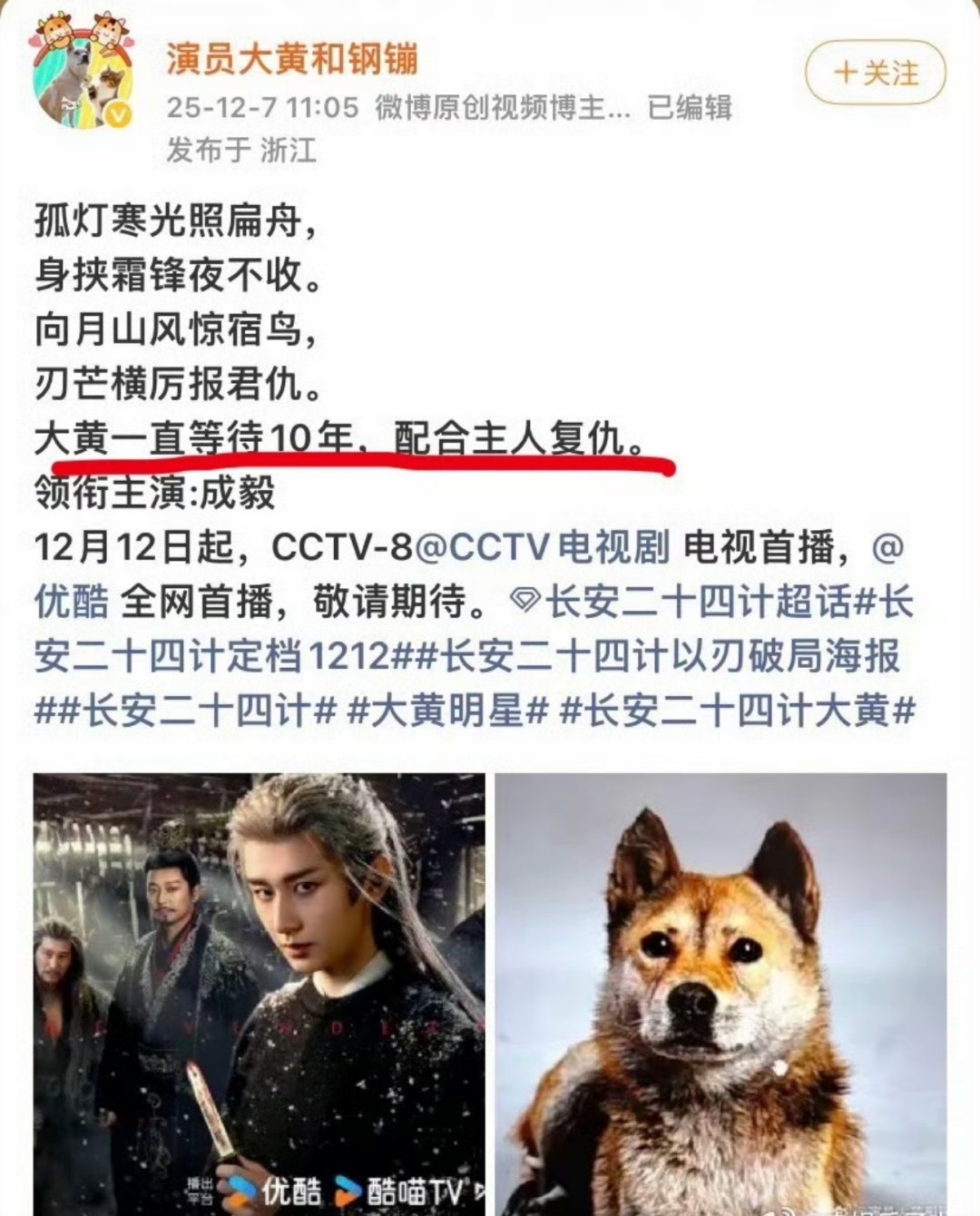 《长安二十四计》什么仇什么怨，狗都要隐忍10年只为报仇的时候打辅助……大黄此次彻