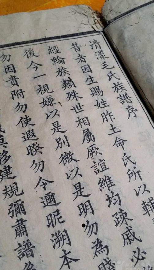 毛主席竟然是浙江人，唯一嫡孙回清漾认祖，毛家村有何神秘之处？

说到毛新宇这位人