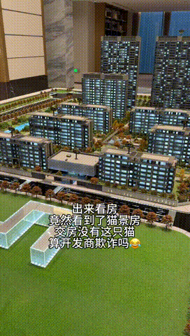 交房的时候没猫可不行