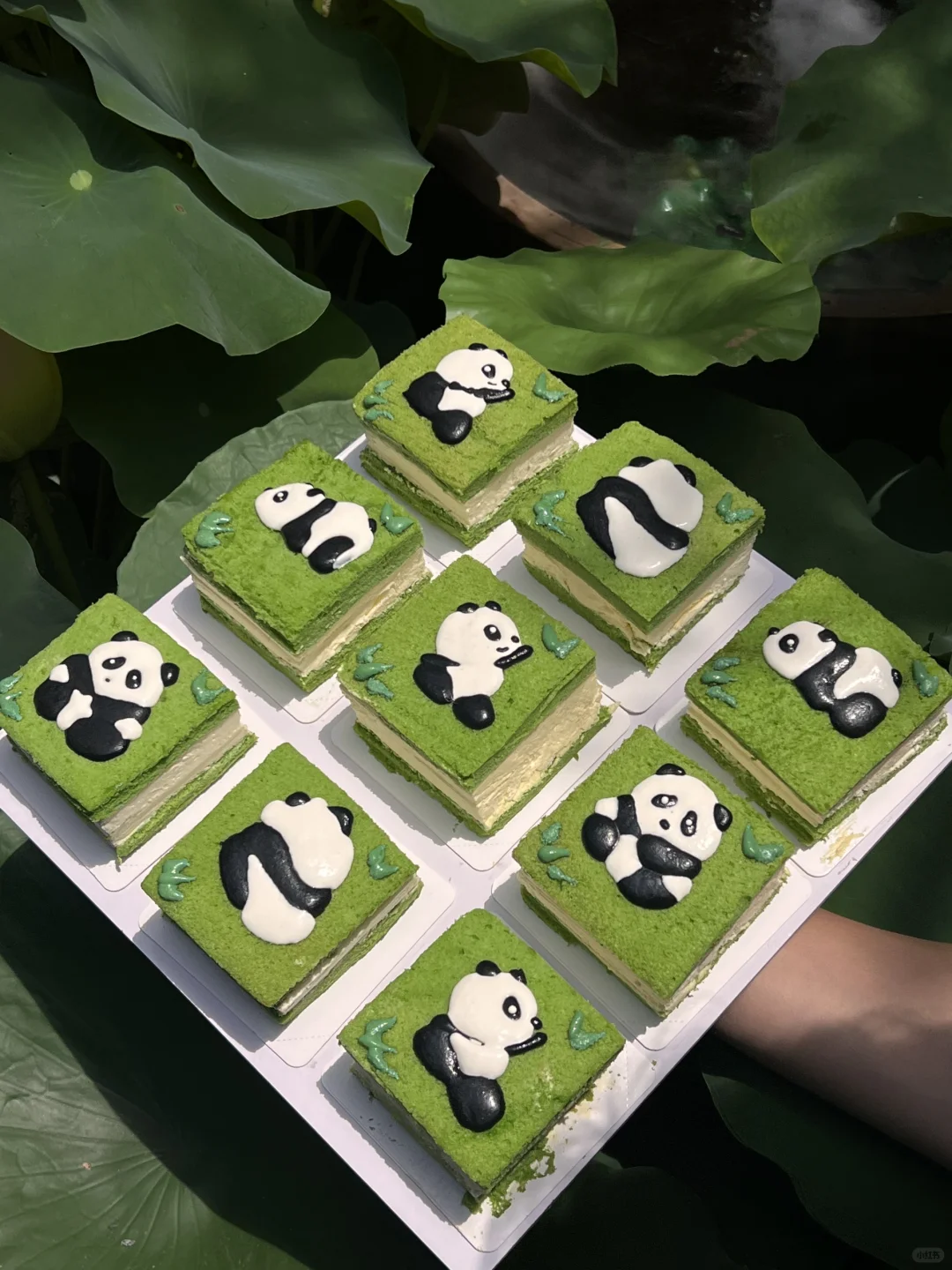 成都 终于吃到啦～