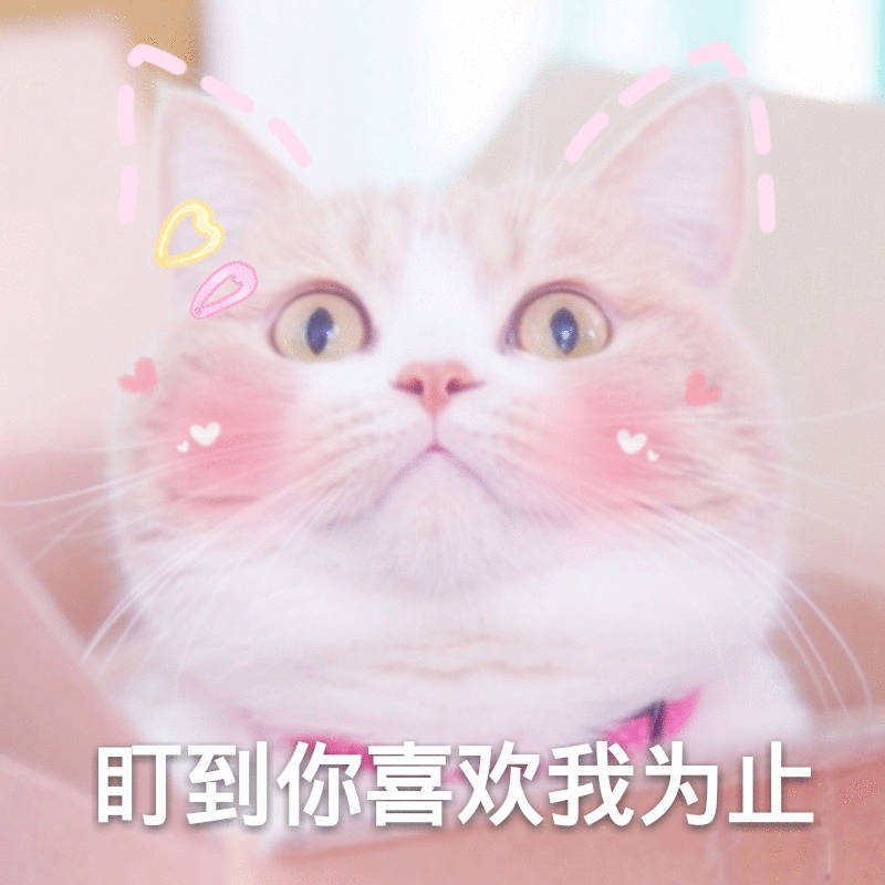 执着于找真爱怎么办最后彼此成伤害，不如当初不相爱。人只会对想要又得不到的产生执念