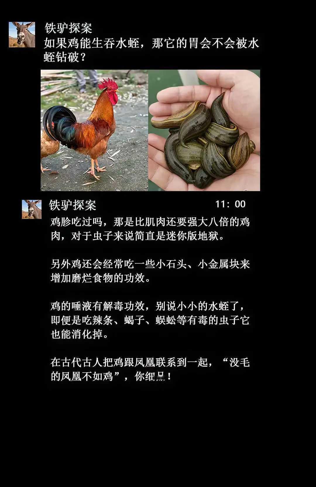 “落架的凤凰不如鸡” 