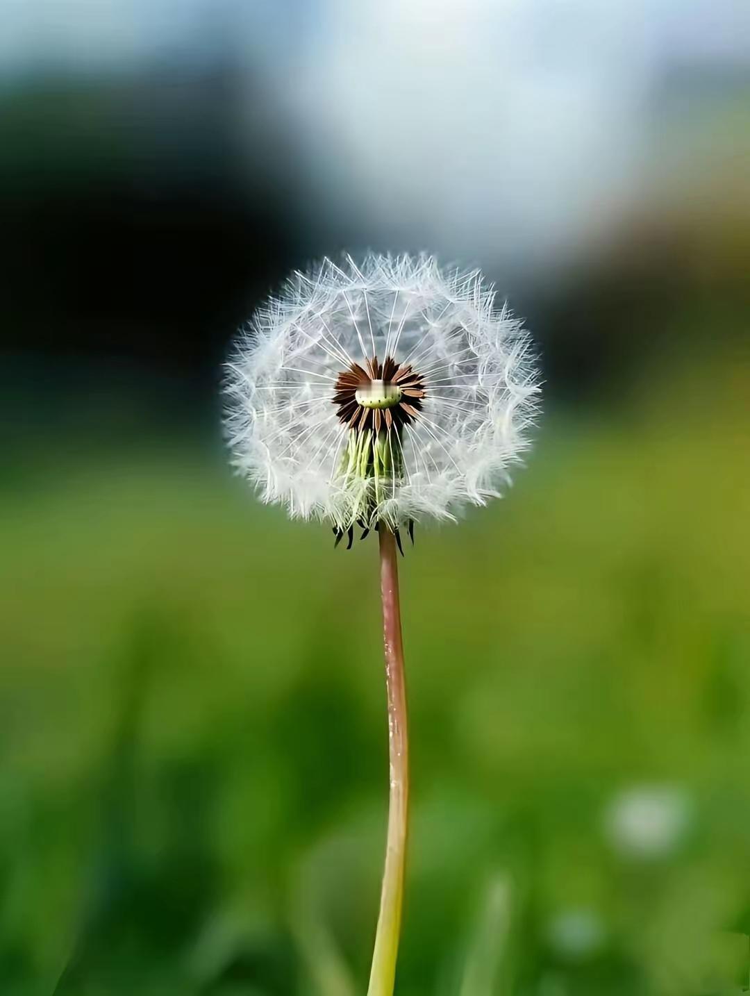 人生就是一场修行，守住本心、平常心，才是最好的修行！
修行 修行心得感悟 修行感