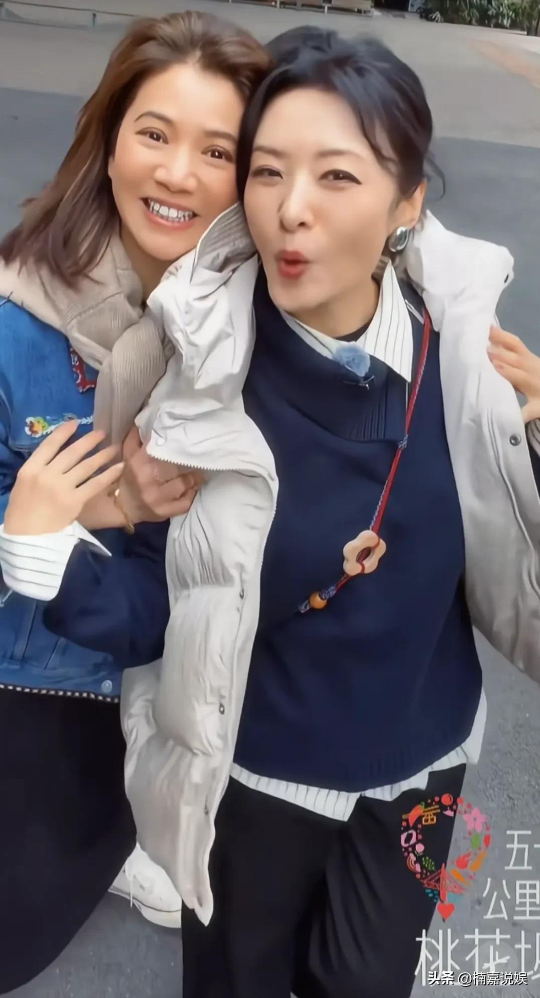 这是哪个鬼才导演，能请到周涛和袁咏仪一起录综艺《桃花坞》啊，这眼光太棒了。
从主