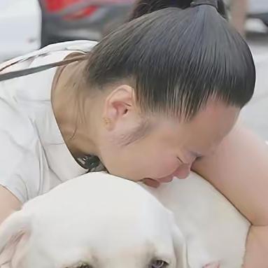 带主人爬泰山的导盲犬芬迪，总算回大连基地了！王女士抱着它喊“早点回来”，可芬迪摇
