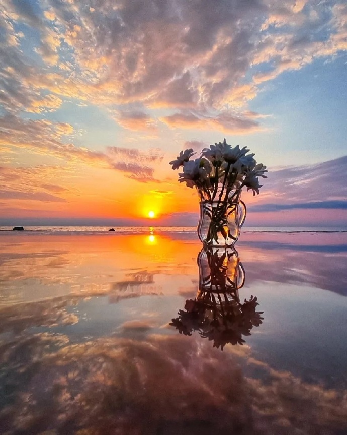 永远爱海上的夕阳🍊🌊 