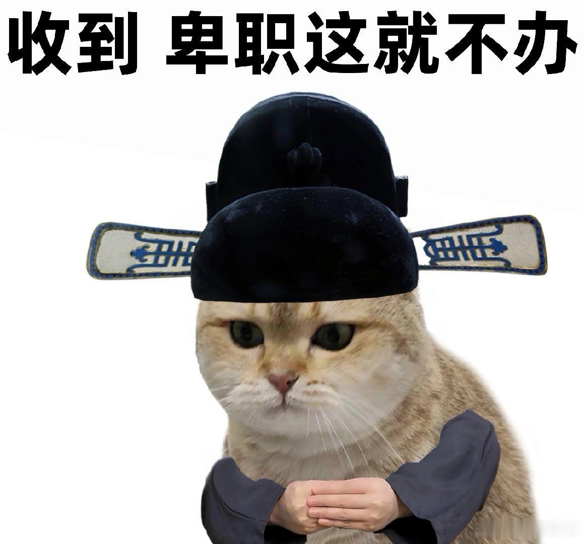 真的很喜欢00后的工作态度  拜托别整天把00后当巨婴看待好吗？我们也是会认真完