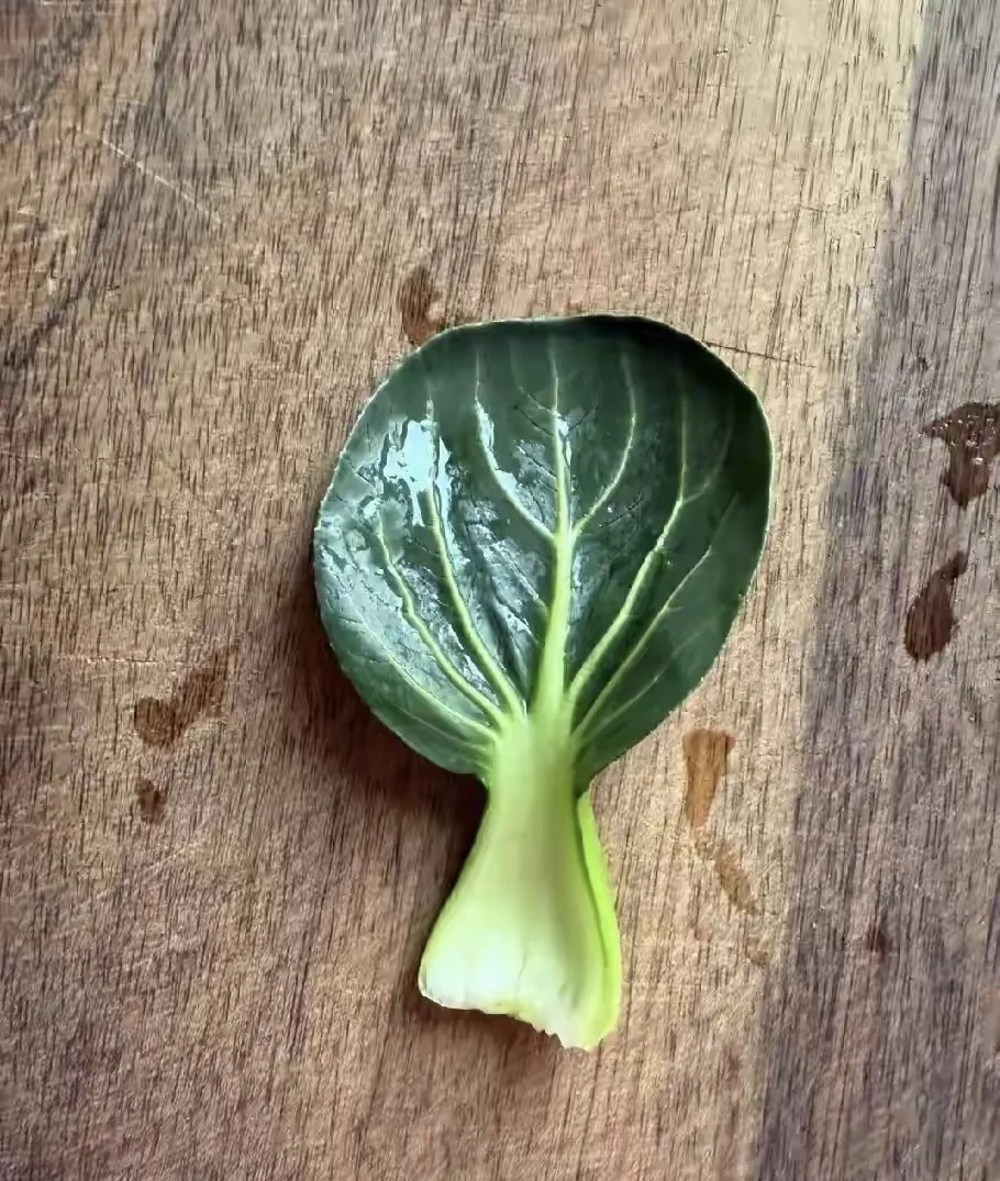 我这两天看着那个“死了么”app爆火，想到个事儿