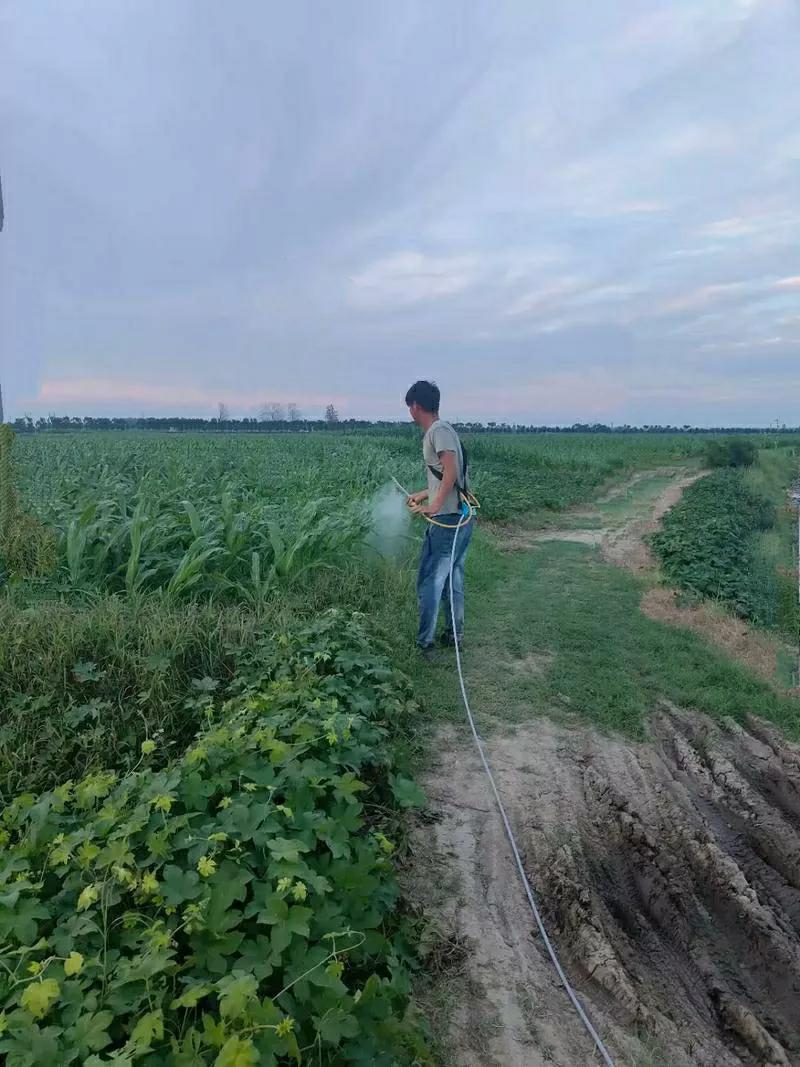 农村里的优质青年，为何也把自己熬成了“剩”？

41岁的我，还没结婚，不是因为我
