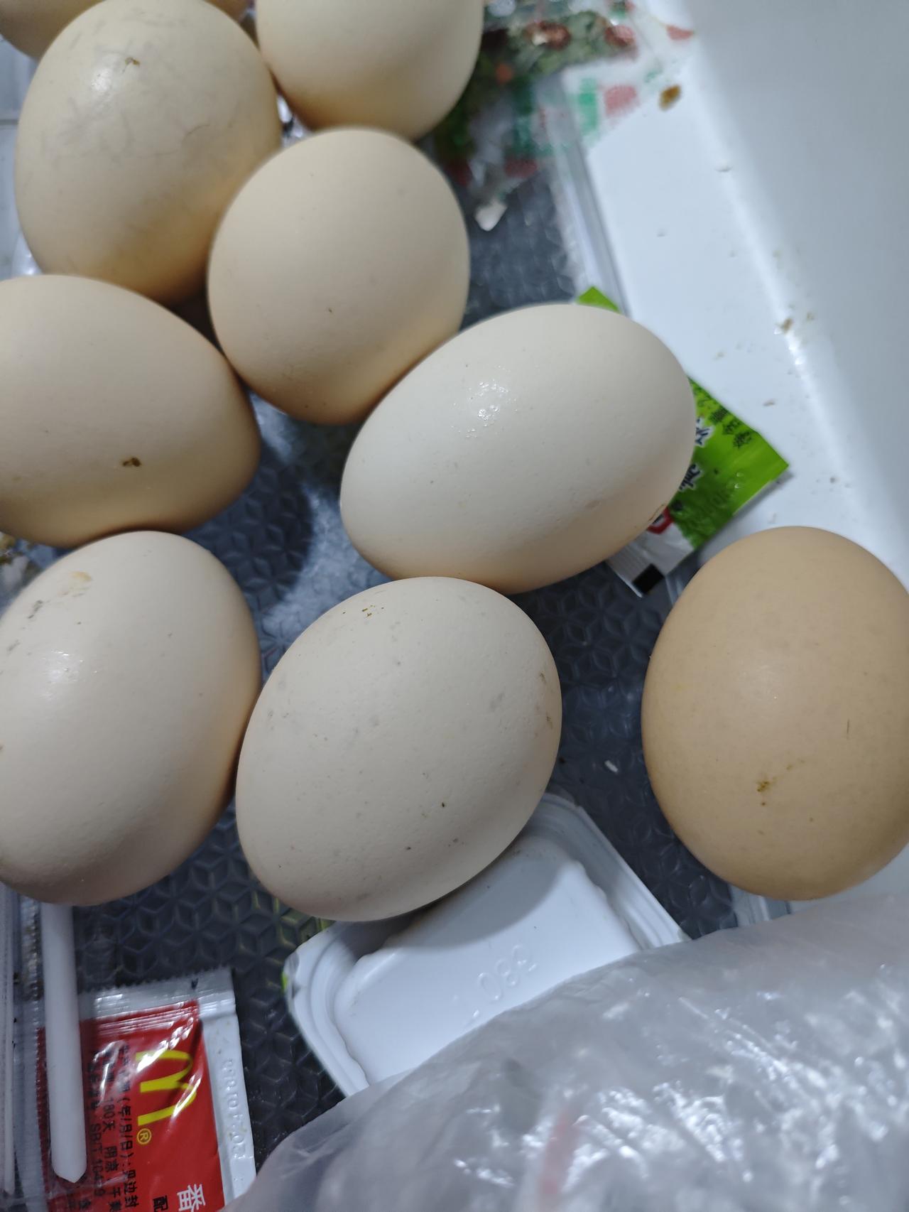 鸡蛋涨价会对养殖业带来哪些影响鸡蛋涨价对养殖业肯定有影响的，养鸡养鸭的养殖户会扩