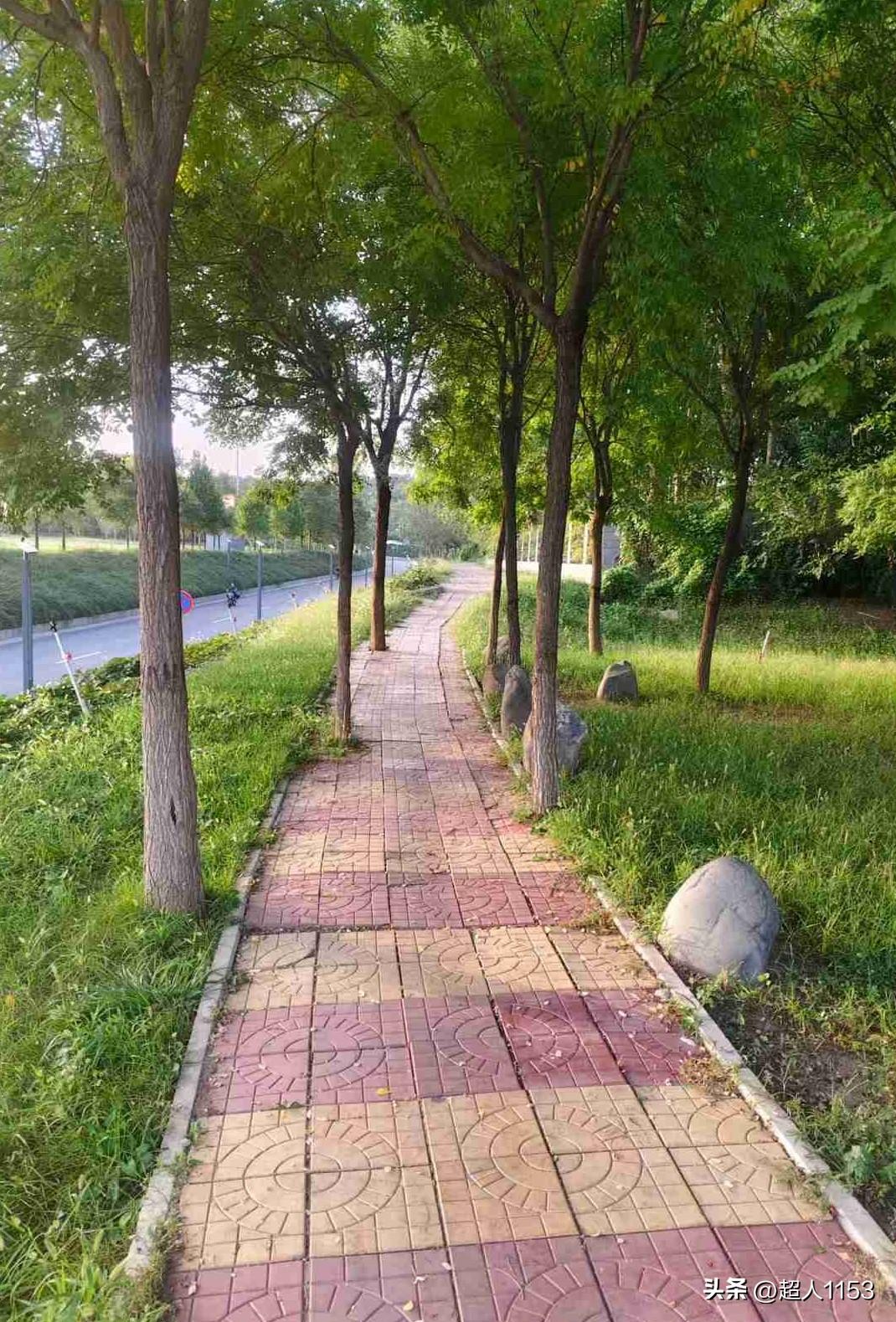 我的今日状态：💪🏻充满干劲
我这里的天气：☁️阴天

又是美好的一天！
美好