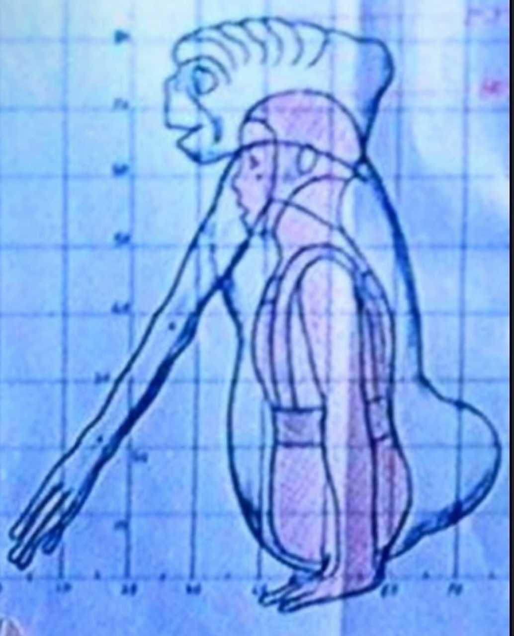 【来自投稿】1982年 12岁的马修·德梅里特成为电影《E T》中的特型演员，马