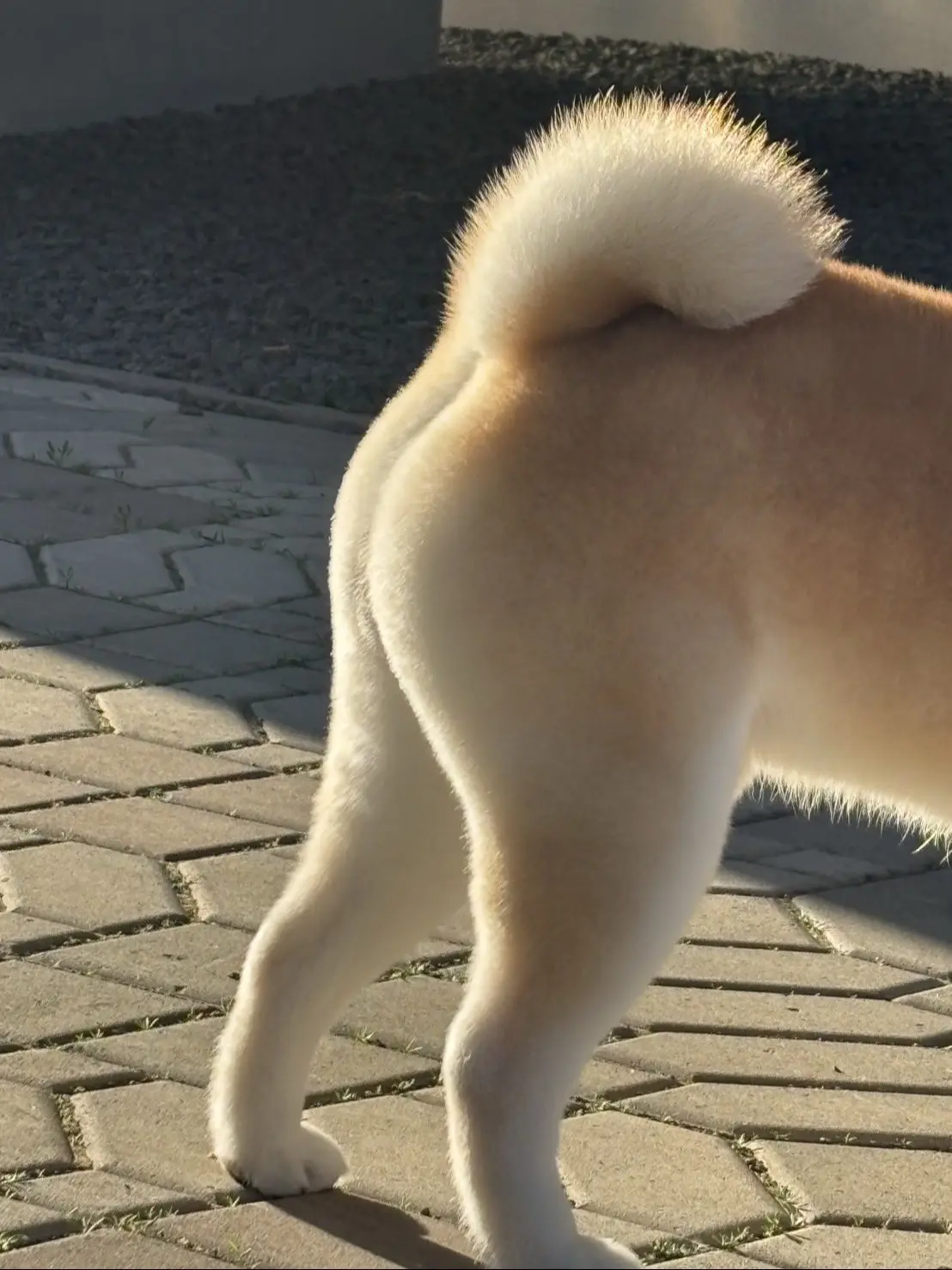 诱惑