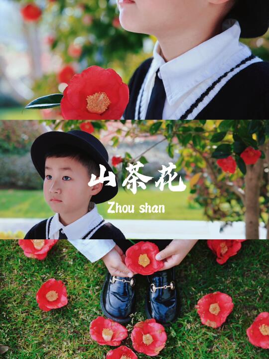 舟山旅行 | 进来看，山茶花和复古色调适配度