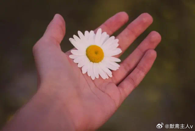 底色·默斋主人原创自由诗世人多半，生于人海寻常处。无惊雷震野，无烈电划空，如田埂