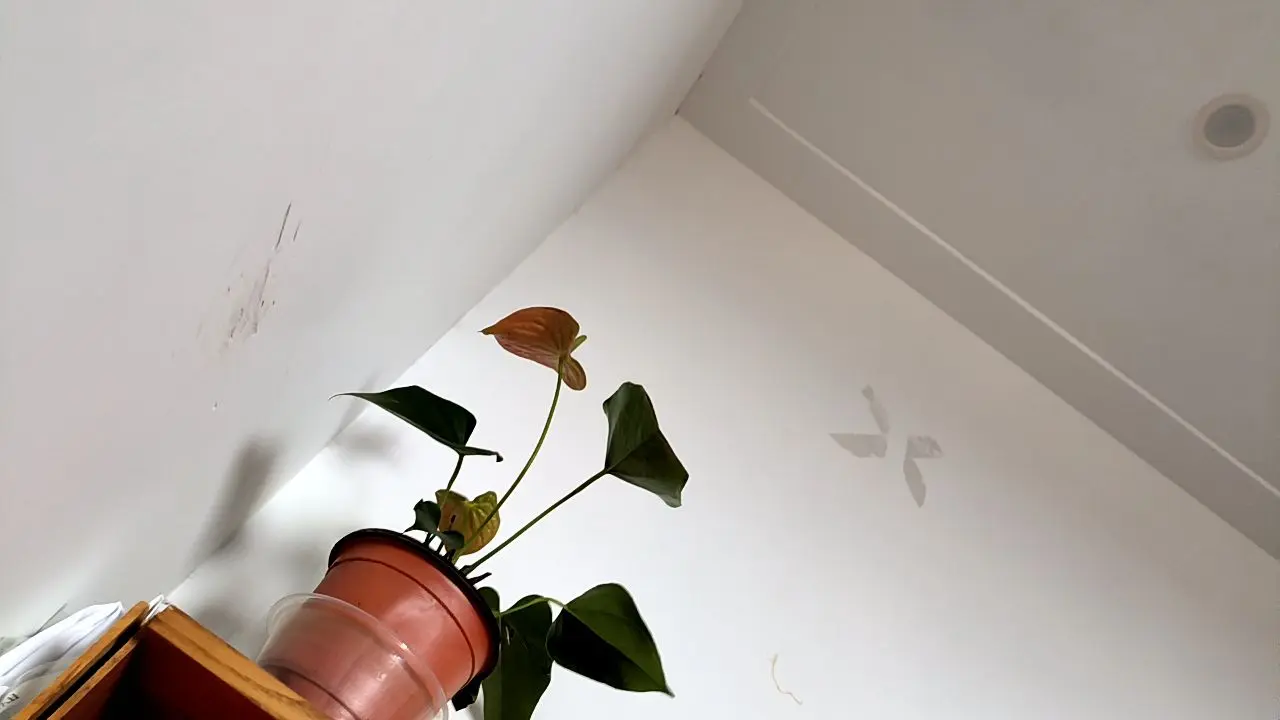 每日分享