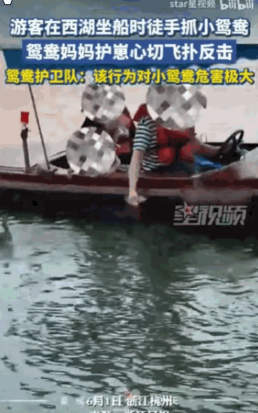 “这种人就应该拉黑！”浙江杭州，一名男子乘坐西湖电动自开船游览时，光天化日之下伸