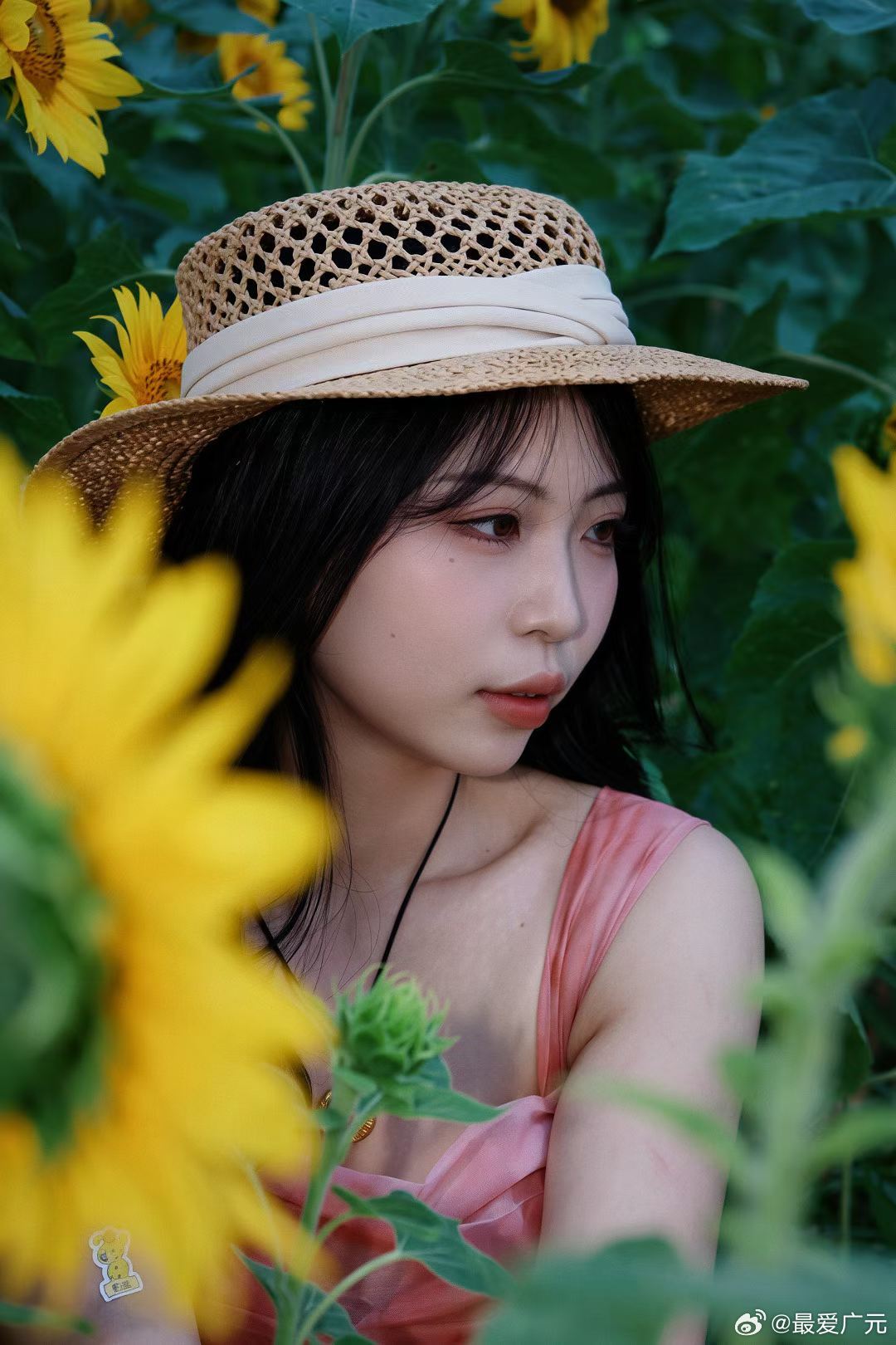 广元凤凰岭一大片向日葵花海盛放 谁说看向日葵花海一定要去远方？市城区这片超大花田