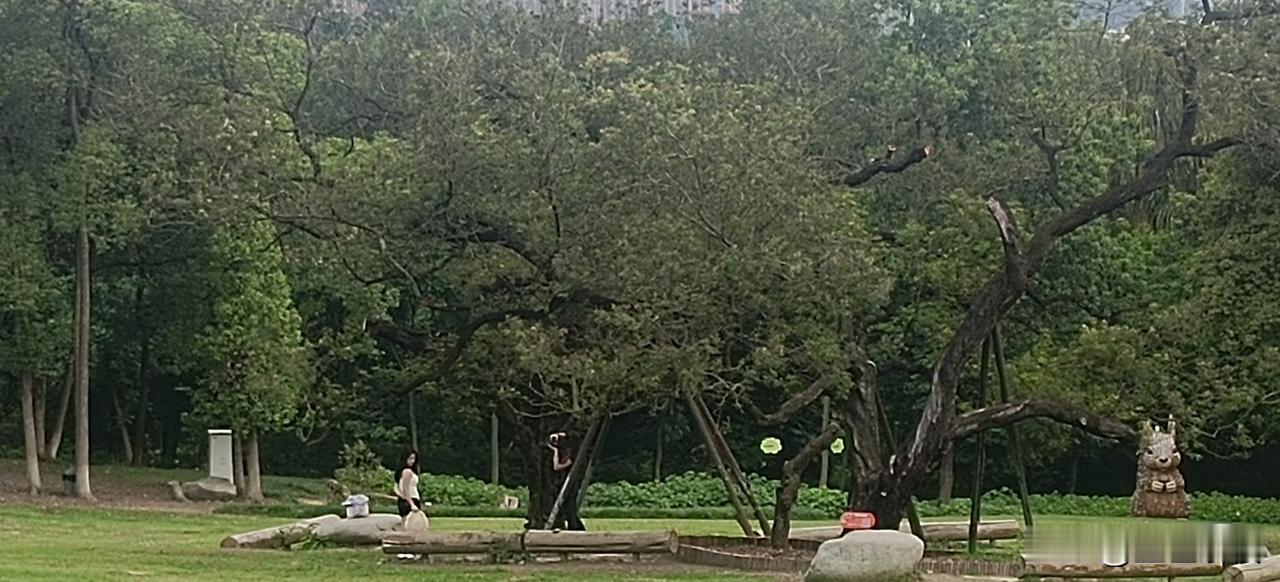 我觉得现在中国缺得不是，让人奋斗，努力等励志的鸡汤。缺得是让人停一下，缓一下，放