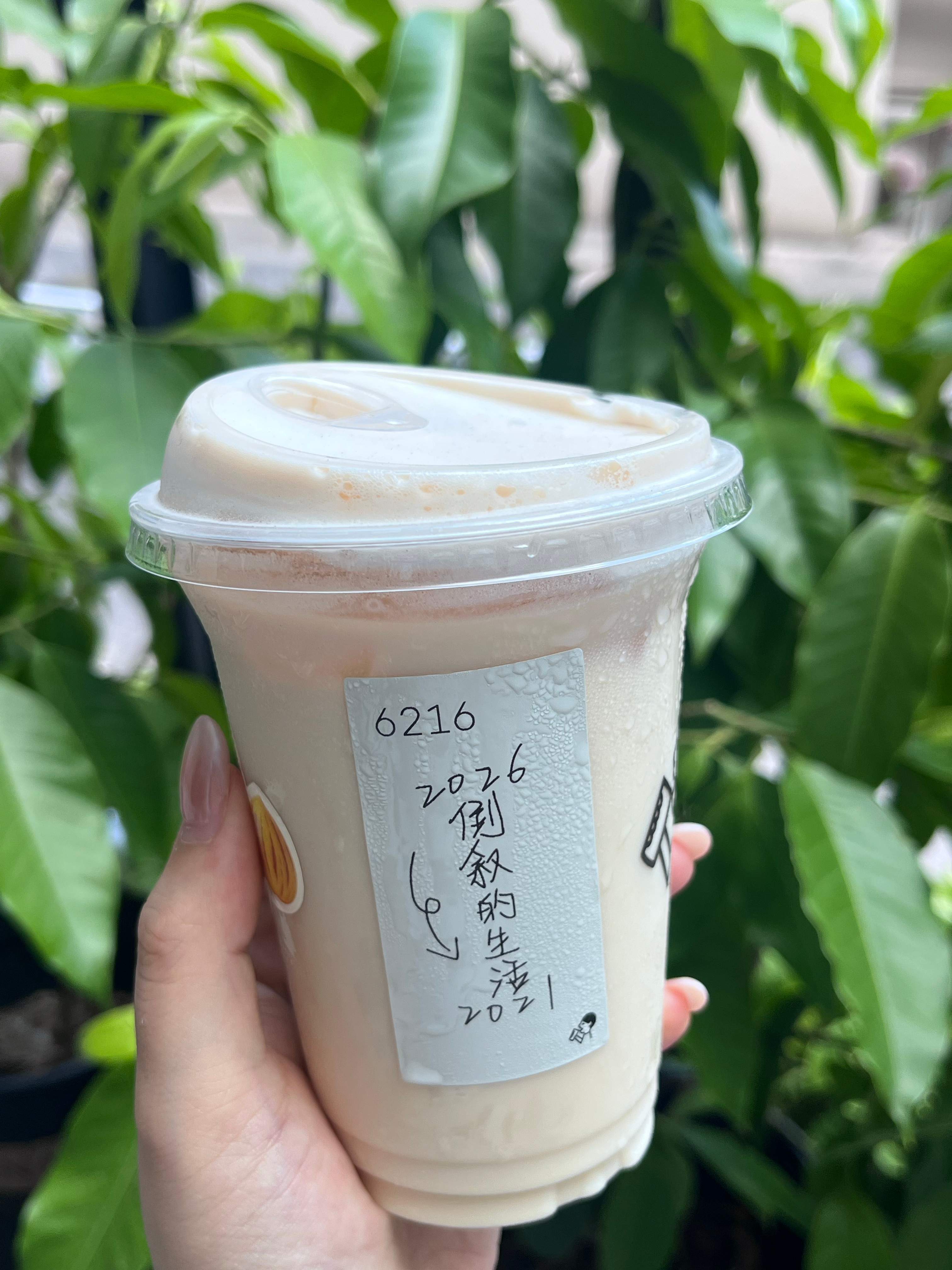 立秋的第一杯