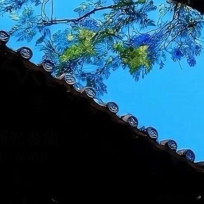 森林驿站 | 阳光信用 每日‬一善 每个人的心中都有一道光，那就是自己对未来美好