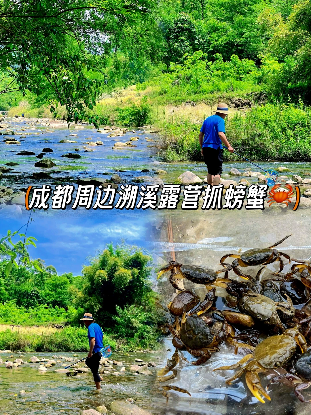 成都周边‼️12处可溯溪抓螃蟹+露营🏕️全攻略